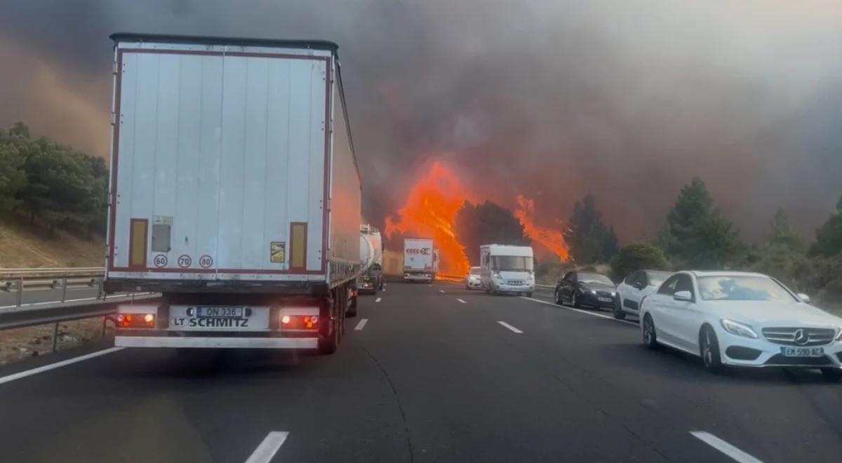 Płoną lasy na południu Francji. Tysiące hektarów w ogniu