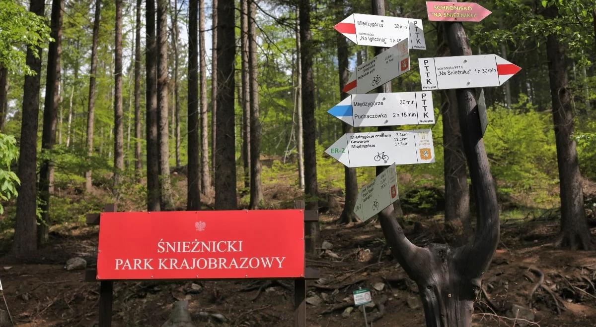 Wieża widokowa na Śnieżniku. Ekolodzy z Czech chcą wstrzymać prowadzoną po polskiej stronie budowę