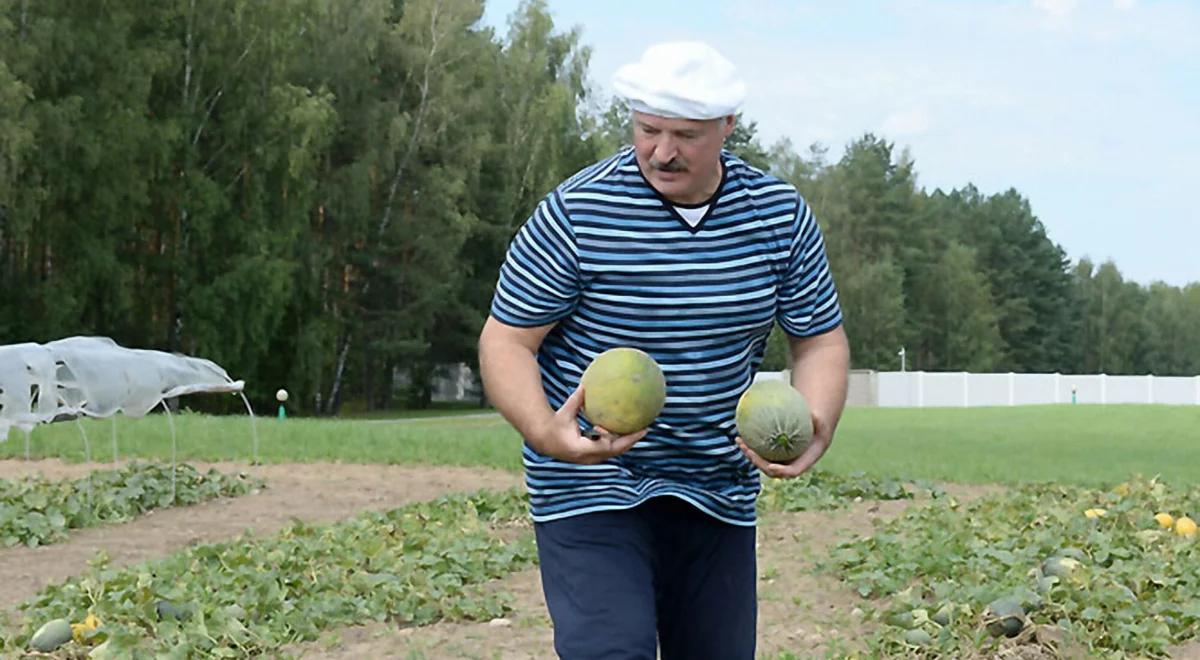 Skandal w Niemczech. Polityk wykorzystywał więźniów Łukaszenki na swojej plantacji cebuli