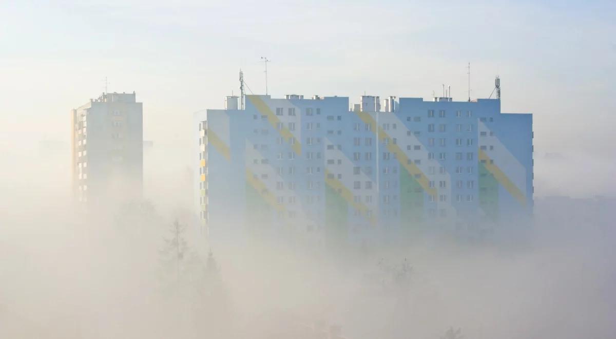 Pogoda na piątek. Słonecznie i ciepło, a na Podlasiu mgliście