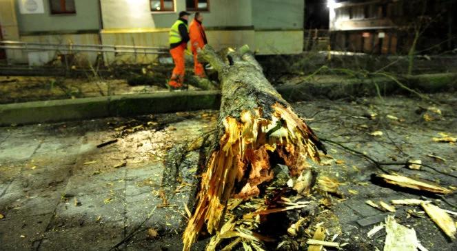 Wichura nad Polską. Zerwane dachy, powalone drzewa i brak prądu