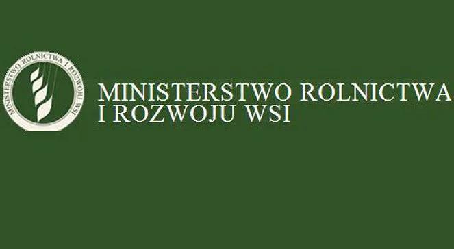 Skandal w ministerstwie. Wzięła odprawę i wróciła do pracy