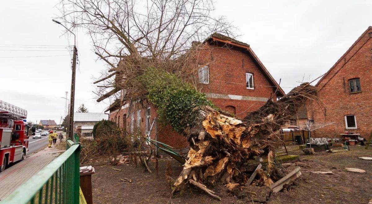 Wichury nawiedziły Polskę. "Liczba interwencji strażaków największa od kilkudziesięciu lat"