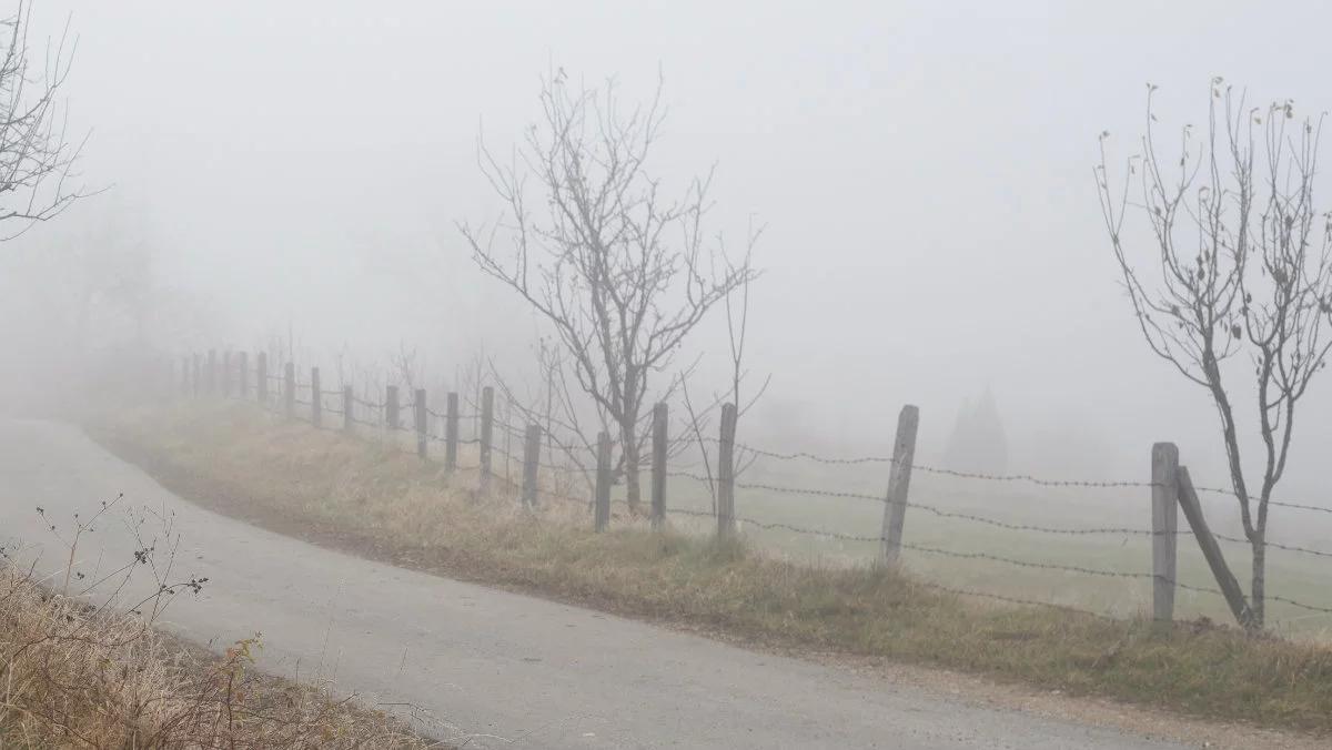 Mgły, opady i gołoledź. Taką pogodą przywita nas nowy tydzień