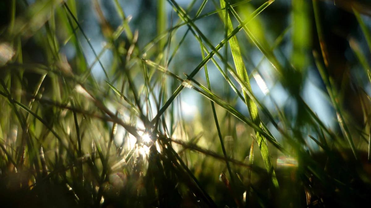 Do Polski napływa ciepłe powietrze. Na południu ponad 25 stopni C