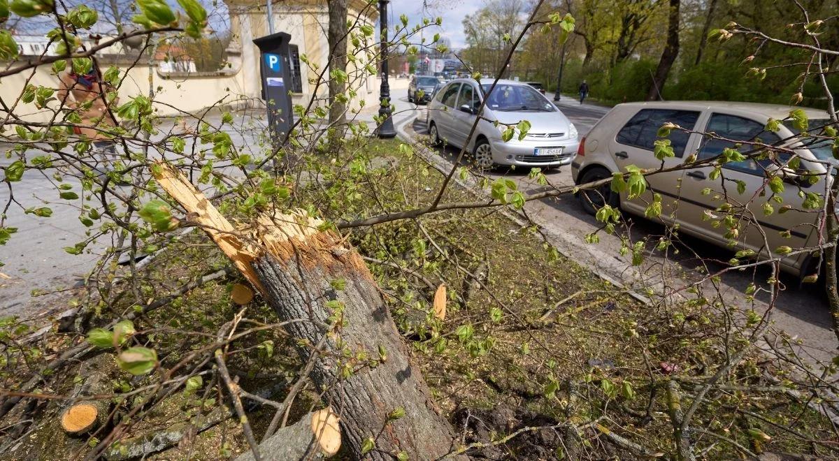 Potężne wichury przechodzą nad Polską. Kilkaset interwencji strażaków