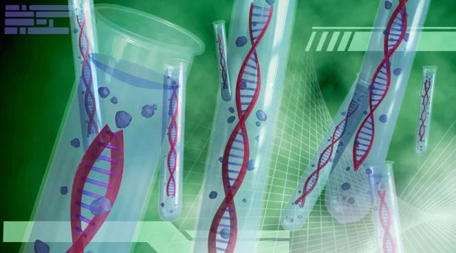 DNA wskazuje na mordercę sprzed lat. Dusiciel z Bostonu odnaleziony