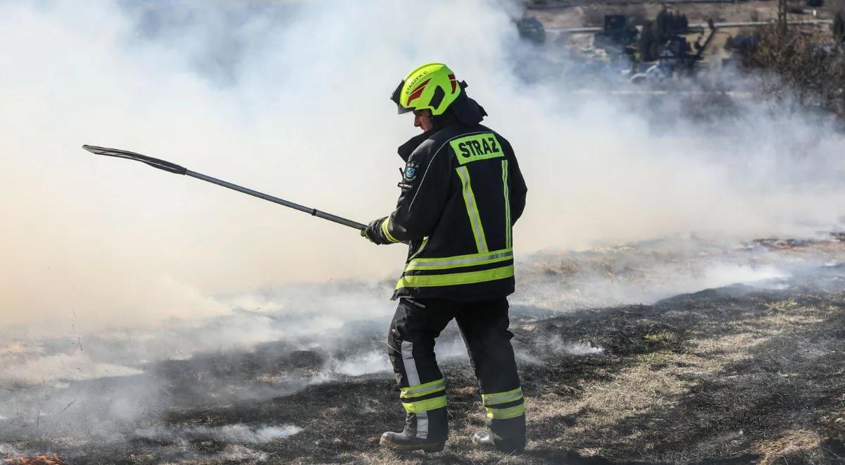 Pożar przy trasie A2. Płoną dwa hektary pola. Kłęby dymu widoczne z daleka