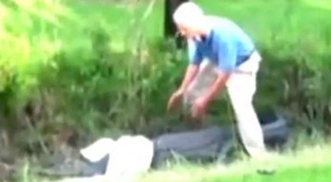 Znawca gadów chciał złapać aligatora (wideo)