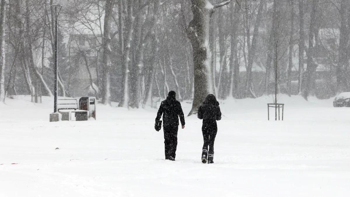 Prognoza pogody na wtorek. Gdzie sypnie śniegiem i mocniej zawieje?