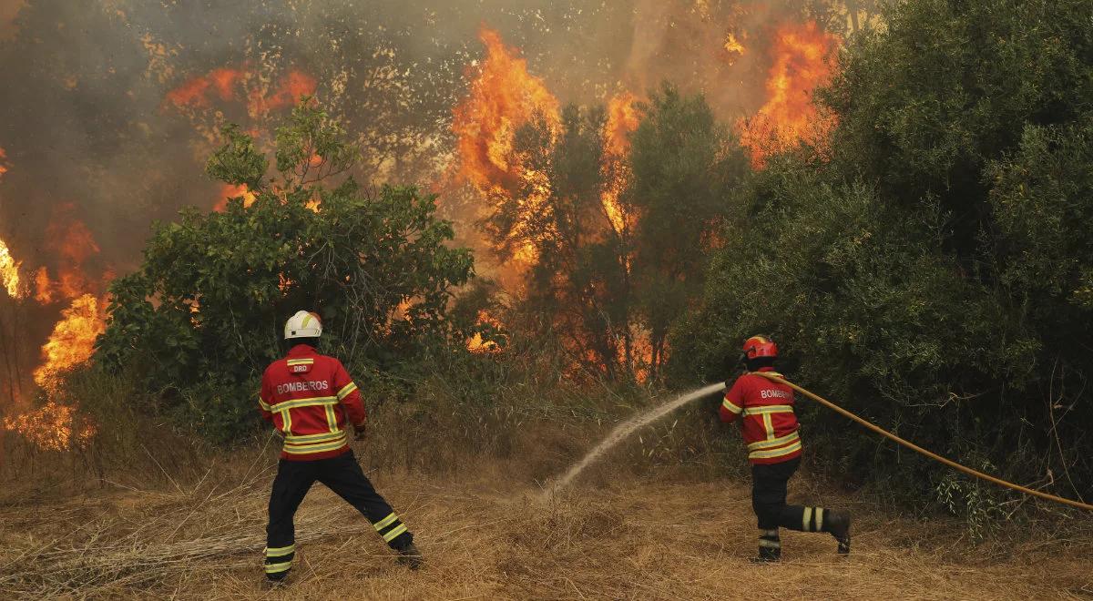 Pożary lasów pustoszą Portugalię. Ponad tysiąc osób walczy z żywiołem, są ranni