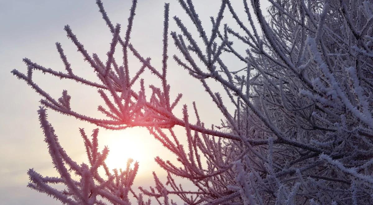 Znaczna różnica temperatur. Sprawdź prognozę pogody na poniedziałek