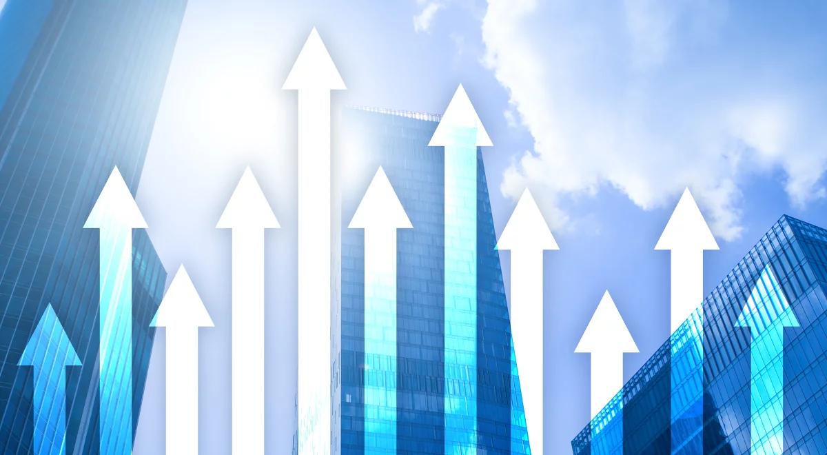 Ekonomistka:  całym roku 2018 polskie PKB wzrośnie o 4,9 proc.