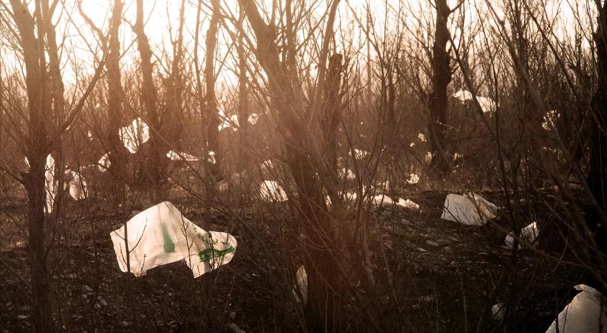 Koniec ery plastikowych toreb na Wyspach Brytyjskich