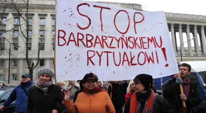 Sondaż: Polacy przeciwni ubojowi rytualnemu
