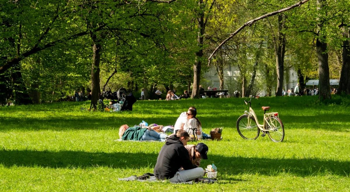 Dużo słońca w całym kraju, deszcz jedynie na północy. Sprawdź prognozę pogody