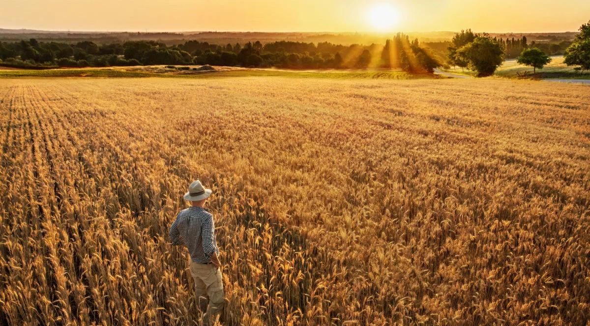 Biostrateg, czyli innowacje w służbie rolnictwu i środowisku