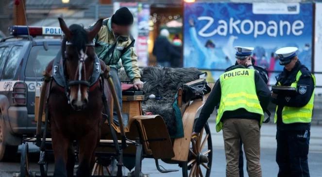 Wypadek w Zakopanem: ciężko ranny dorożkarz na Krupówkach