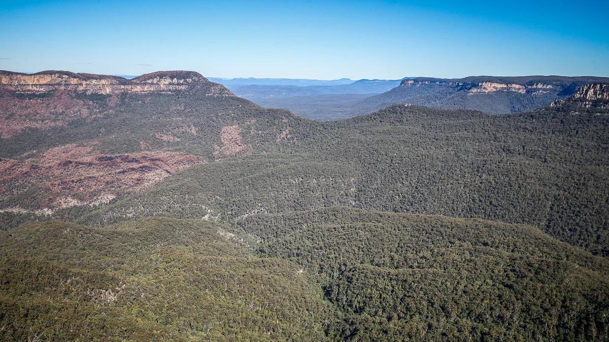 Mglista atrakcja okolic Sydney, czyli Góry Błękitne