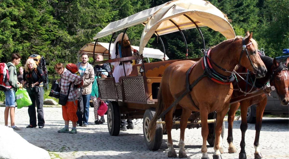 Trasa nad Morskie Oko. Nie będzie likwidacji transportu konnego