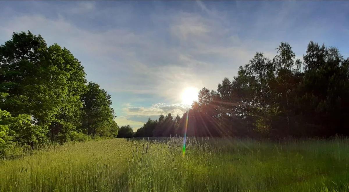 Czeka nas ciepły i pogodny weekend. Będzie nawet 25 stopni