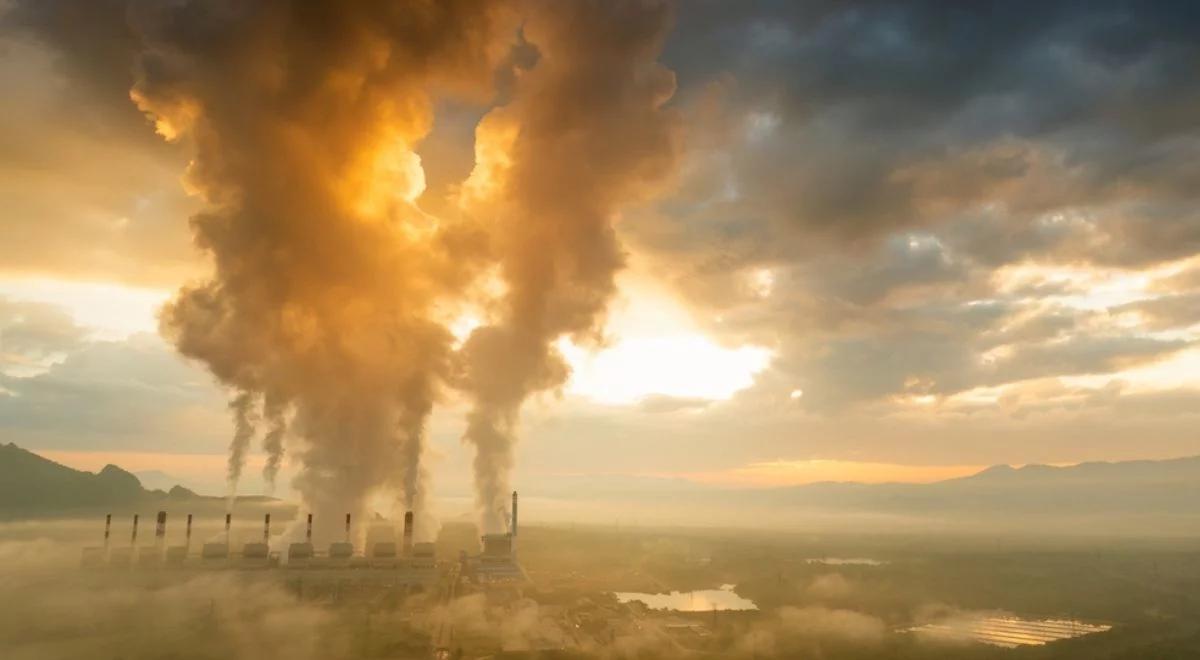 2024 najcieplejszym rokiem w historii. Padł rekord