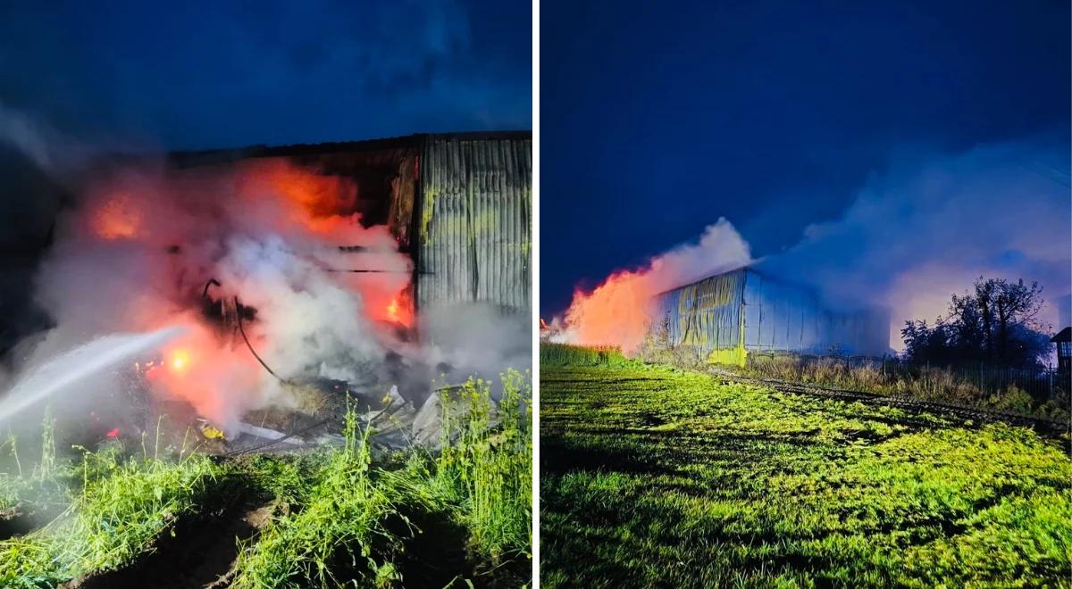Andrzejki. Spłonęły krowy, zboże i maszyny rolnicze