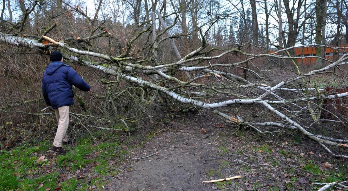 Prognoza pogody. W środę śnieg i silne porywy wiatru