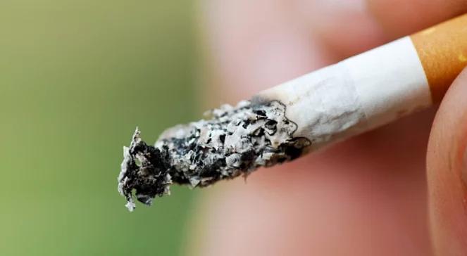 Polska nie zakaże sprzedaży papierosów mentolowych i slimów