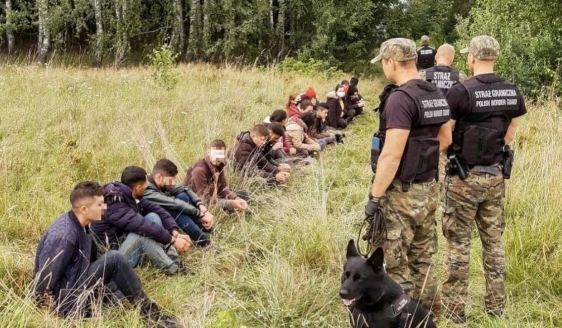 Tekieli o sytuacji na granicy z Białorusią: robiący wokół tego zamieszanie działają na szkodę Polski