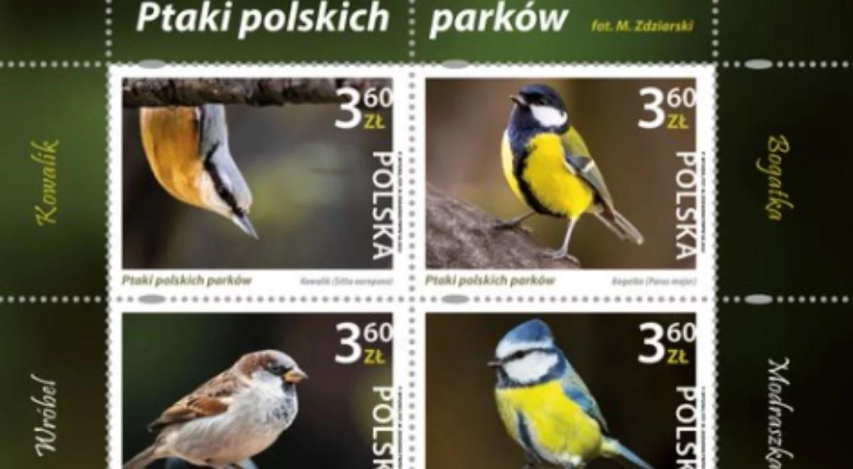 "Ptaki polskich parków". Poczta Polska rozpoczyna emisję wyjątkowej serii znaczków