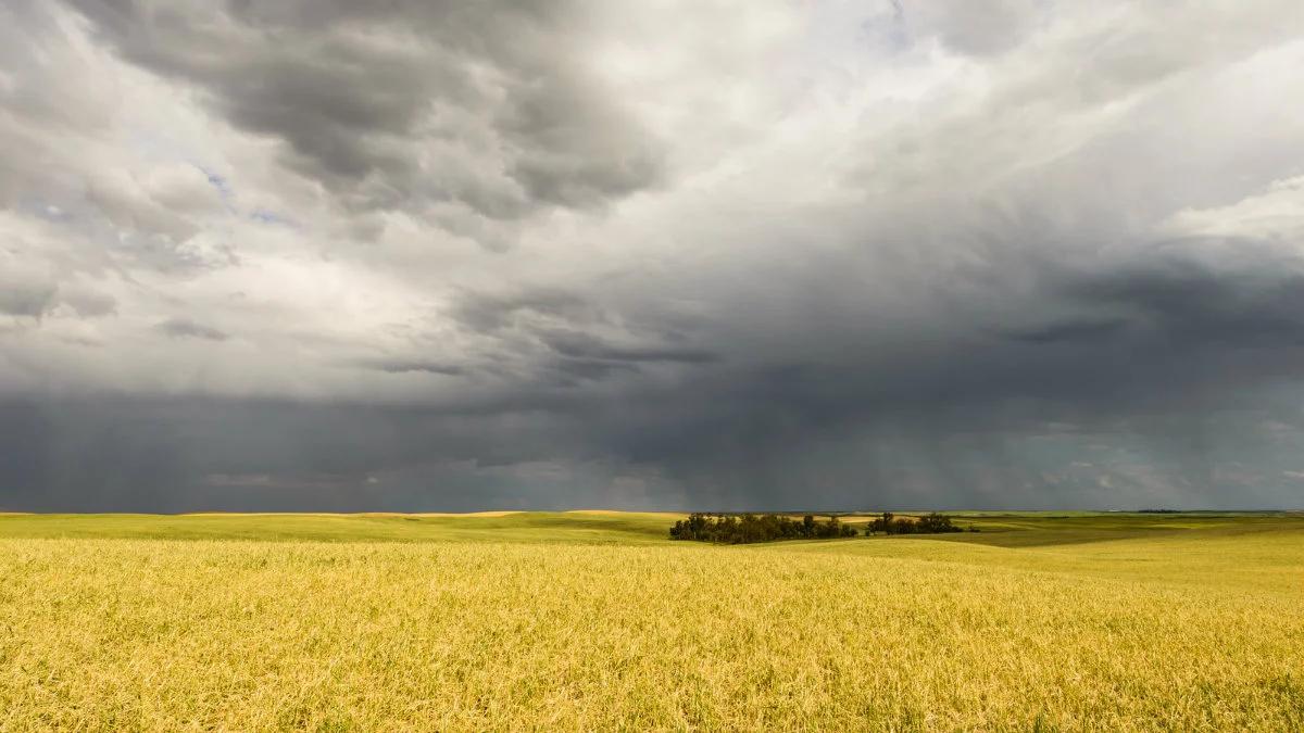 Prognoza pogody: w środę słonecznie, ale nad Polskę nadciągają burze