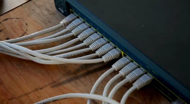 Wielkie święto branży internetowej 