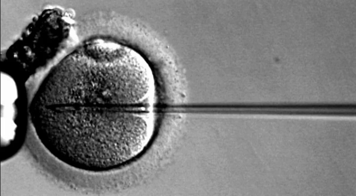 W Wielkiej Brytanii zapłodnienie metodą in vitro "trojga rodziców". Jeden tata i dwie mamy