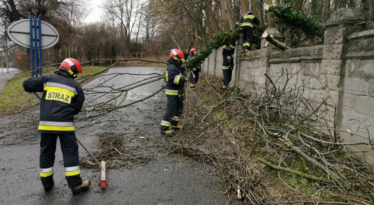 Setki interwencji strażaków spowodowanych silnym wiatrem. IMGW ostrzega kolejne województwa