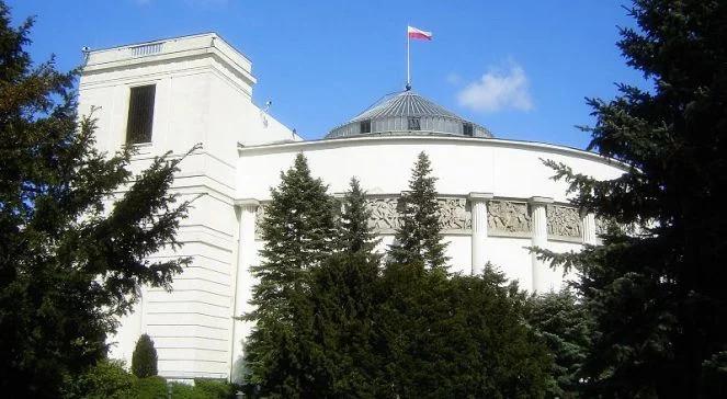 Uprawa konopi siewnych bez utrudnień. Sejm zajmie się projektem ustawy PiS i Kukiz'15 