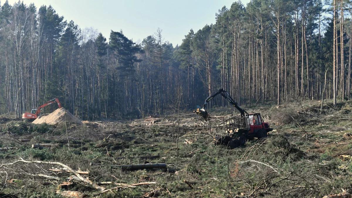 Komisja Europejska chce pilnych rozmów z Polską ws. przekopu Mierzei Wiślanej