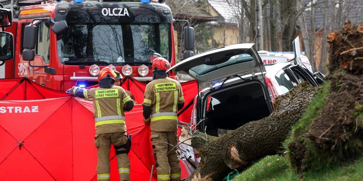 Tragedia w Zakopanem. Drzewo przewróciło się na jadący samochód. Zginęła młoda kobieta