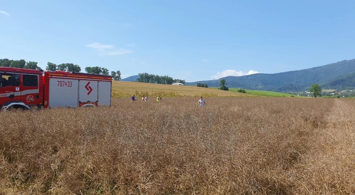 Samolot runął i stanął w płomieniach. Pilot nie żyje