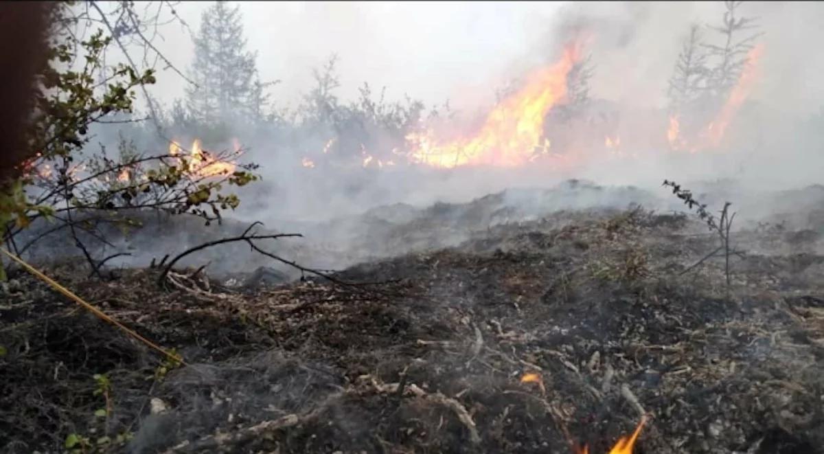 Ogień zniszczył ponad 300 tys. hektarów lasu. Trwa walka z pożarami na Syberii