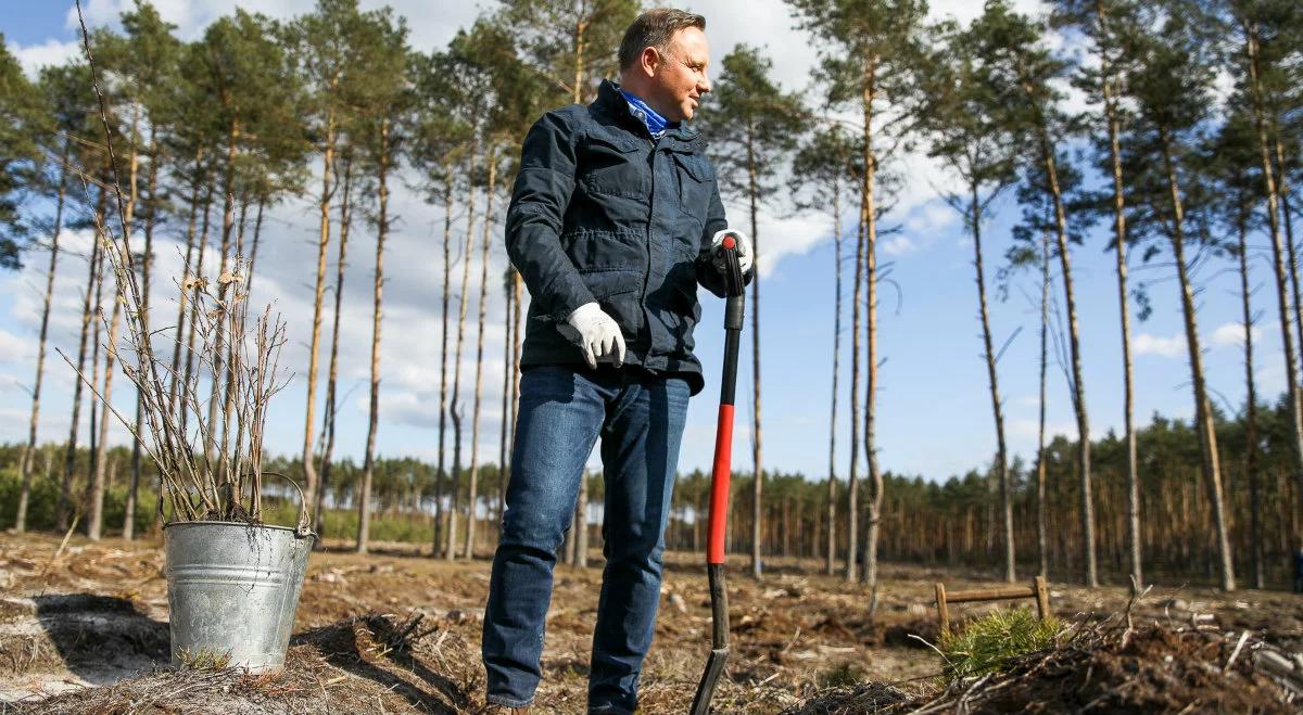 "Lasy to zielone płuca". W Światowy Dzień Ziemi prezydent zasadził drzewa