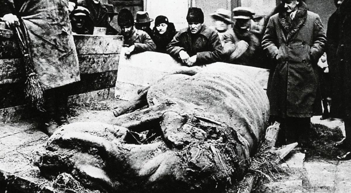 Mamut i cztery włochate nosorożce. Niezwykłe odkrycie z kopalni wosku ziemnego