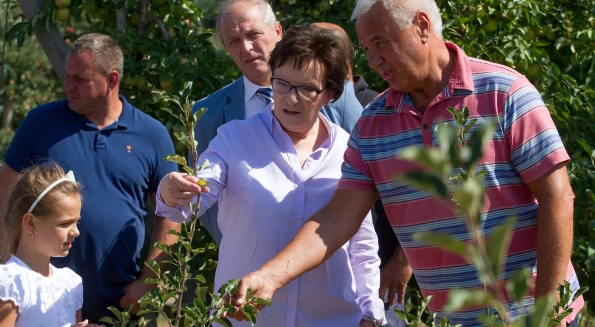 We wtorek rząd przedstawi propozycje dla poszkodowanych przez suszę