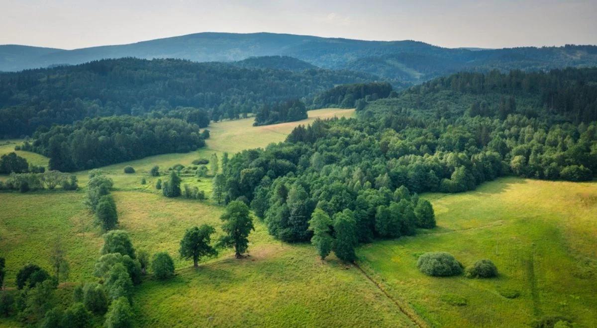 Majówka ze słońcem? Synoptyk IMGW: mamy dobre i złe wiadomości