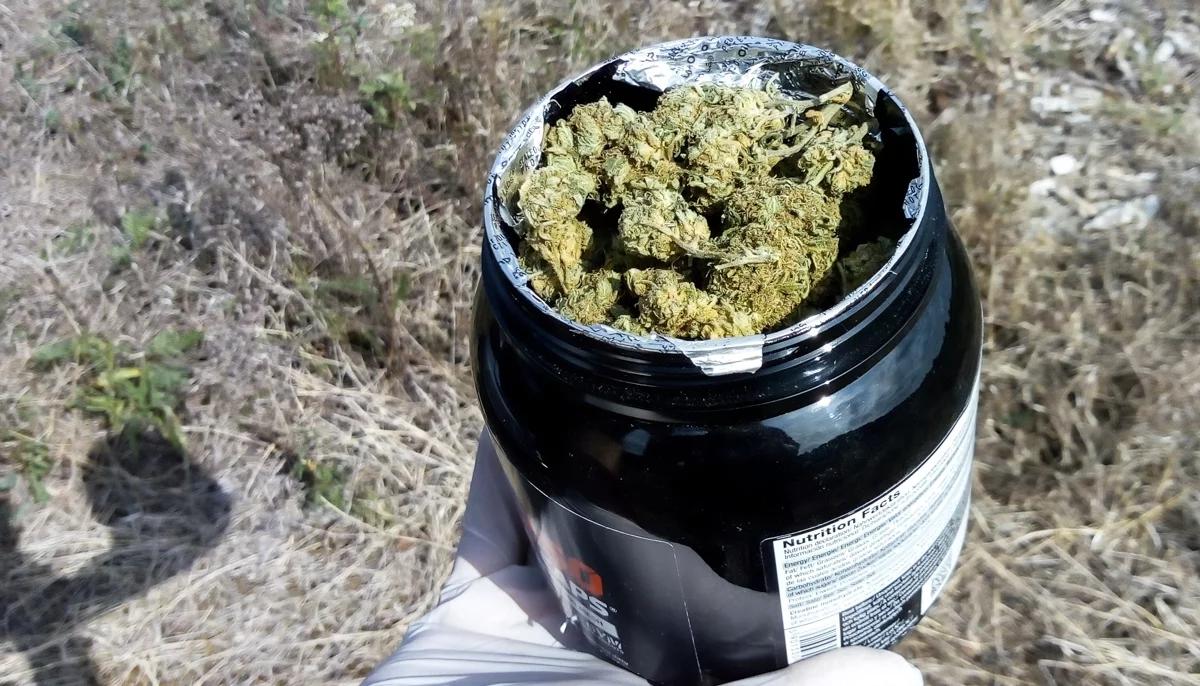 Mieli kupić 60 kg marihuany. Tymczasowy areszt i zarzuty dla podejrzanych mężczyzn
