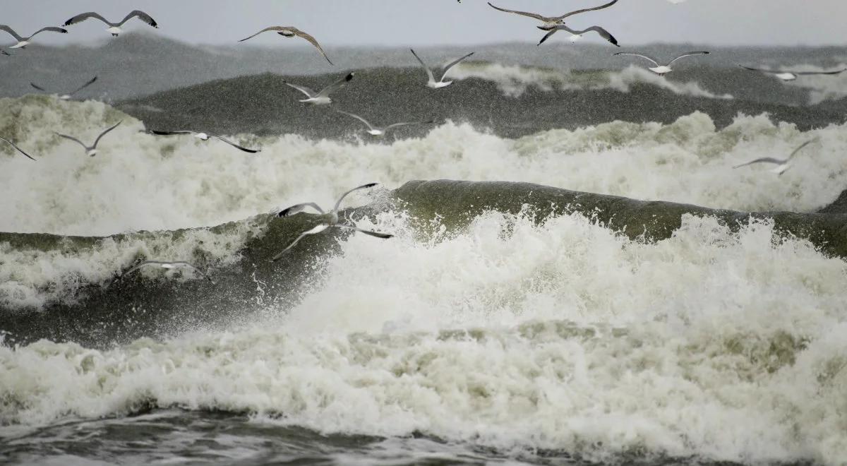 Pogoda zrobi się niebezpieczna. W całej Polsce bardzo mocno powieje