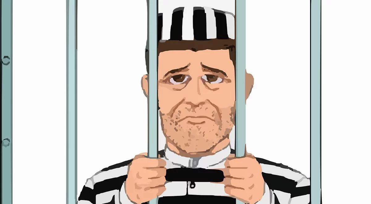 Wyłudzenia podatków: rząd bierze się ostro za oszustów. Wysokie kary wystraszą?