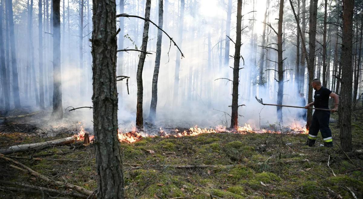 Zagrożenie pożarowe w całym kraju. Strażacy apelują o ostrożność