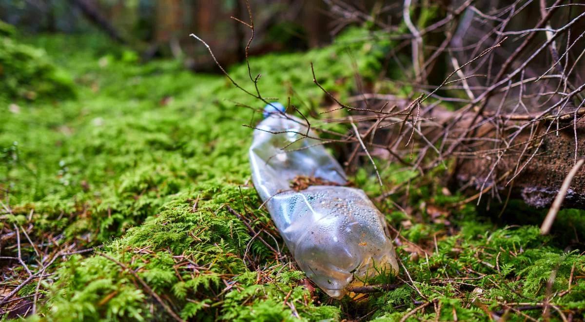 "Zielona ściema" pokusą dla firm. Czym jest zjawisko greenwashingu?