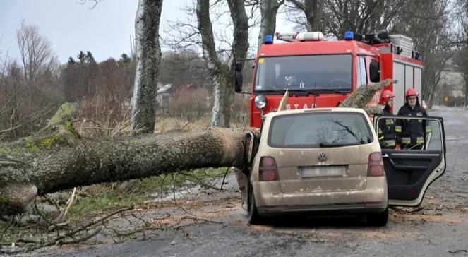 Orkan Ksawery w Polsce. Wichura na Pomorzu: cztery osoby nie żyją